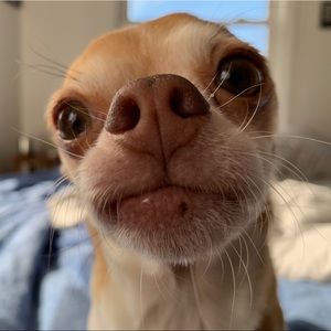 Meet your Posher, Matthew